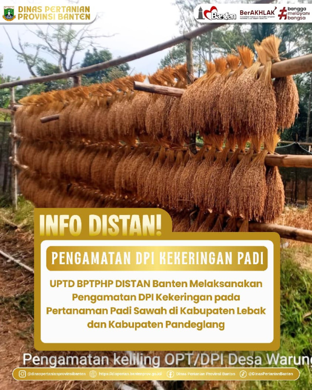 Pengamatan DPI Kekeringan