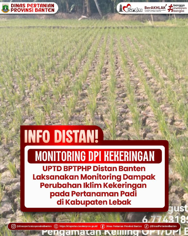 Monitoring DPI Kekeringan Pertanaman Padi