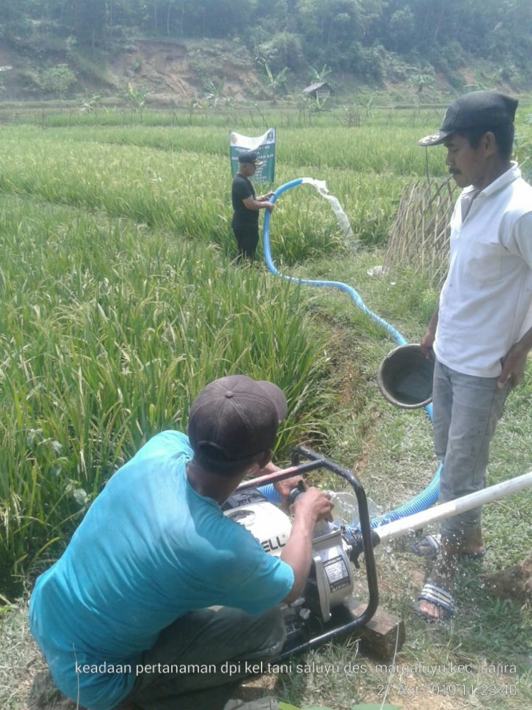 Tekan Angka Puso, Pemerintah Salurkan 164 Pompa Air Ke Petani Tahun Ini