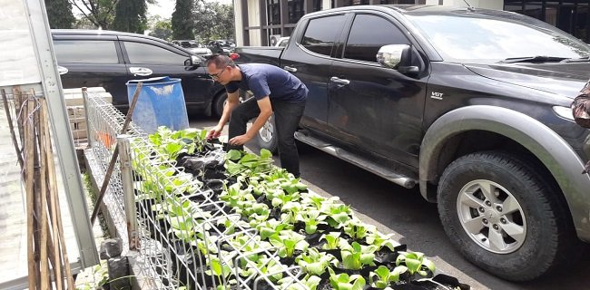 Perkantoran Dinas Di Banten Wajib Manfaatkan Lahan Tanam Sayuran