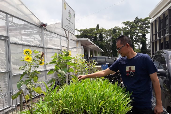 Pemprov Banten ajak masyarakat kembangkan obor pangan lestari