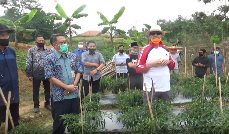 Langkah Gubernur Banten Untuk Pulihkan Ekonomi Akibat Covid-19