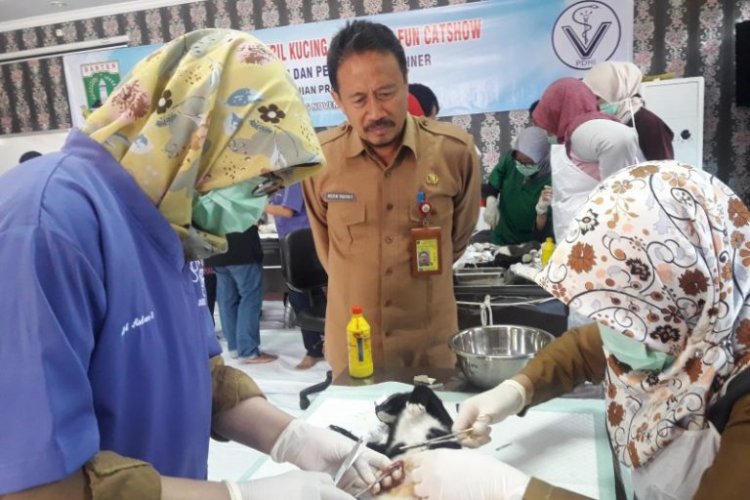 Hari Rabies Dunia,  Distan Banten Dukung Program Pusat