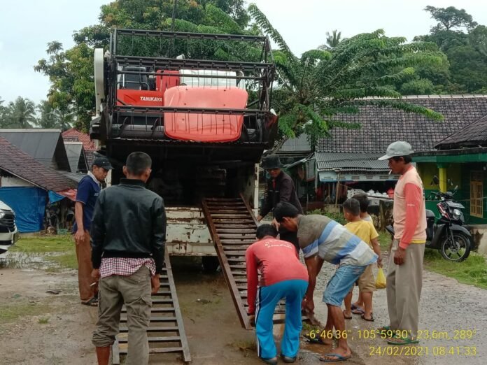 Alat Pinjaman Comben Dari Brigade Alsintan Distan Banten Sangat Membantu Panen Padi Petani Malingping