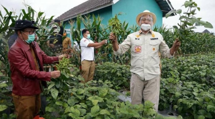 Pemprov Banten Dorong Peningkatan Produksi Kacang Kedelai