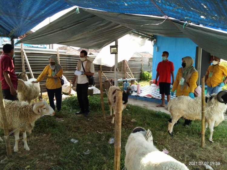 Pemprov Banten Monitoring Kesehatan Hewan Kurban dan Protokol Kesehatan Pedagang