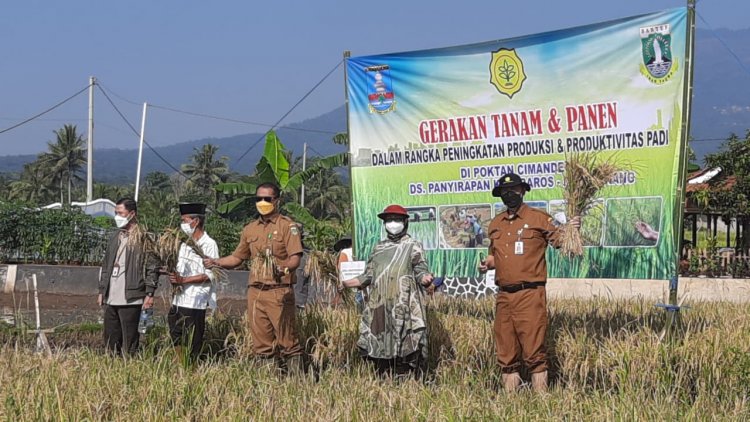 Gerakan Tanam & Panen Padi