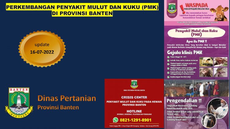 Update Data PMK 16 Juli 2022