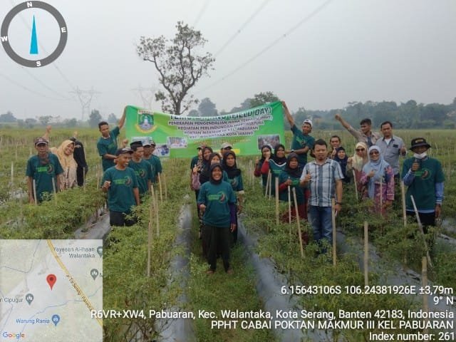 FIELD DAY PENERAPAN PENGENDALIAN HAMA TERPADU (PPHT)  CABAI MERAH (Capsicum annuum L)